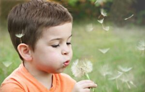 a child blowing a dandelion
